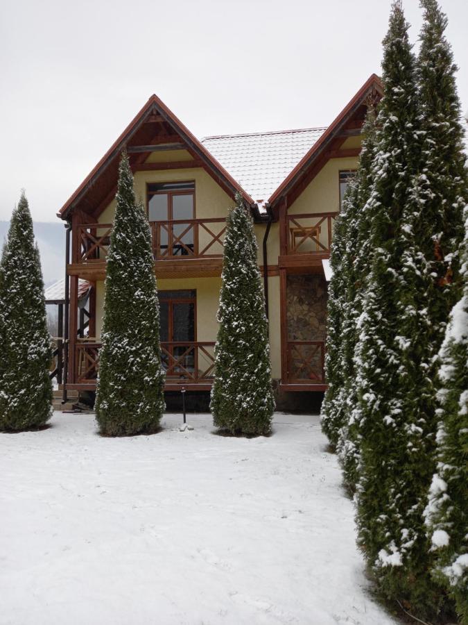 На Березі Черемошу Verkhovyna Exterior foto