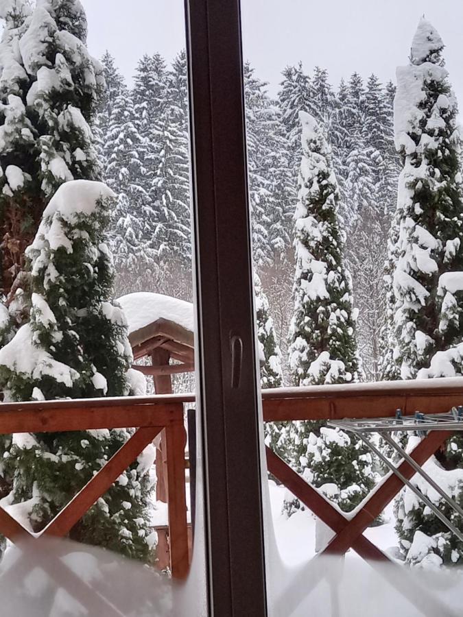 На Березі Черемошу Verkhovyna Exterior foto