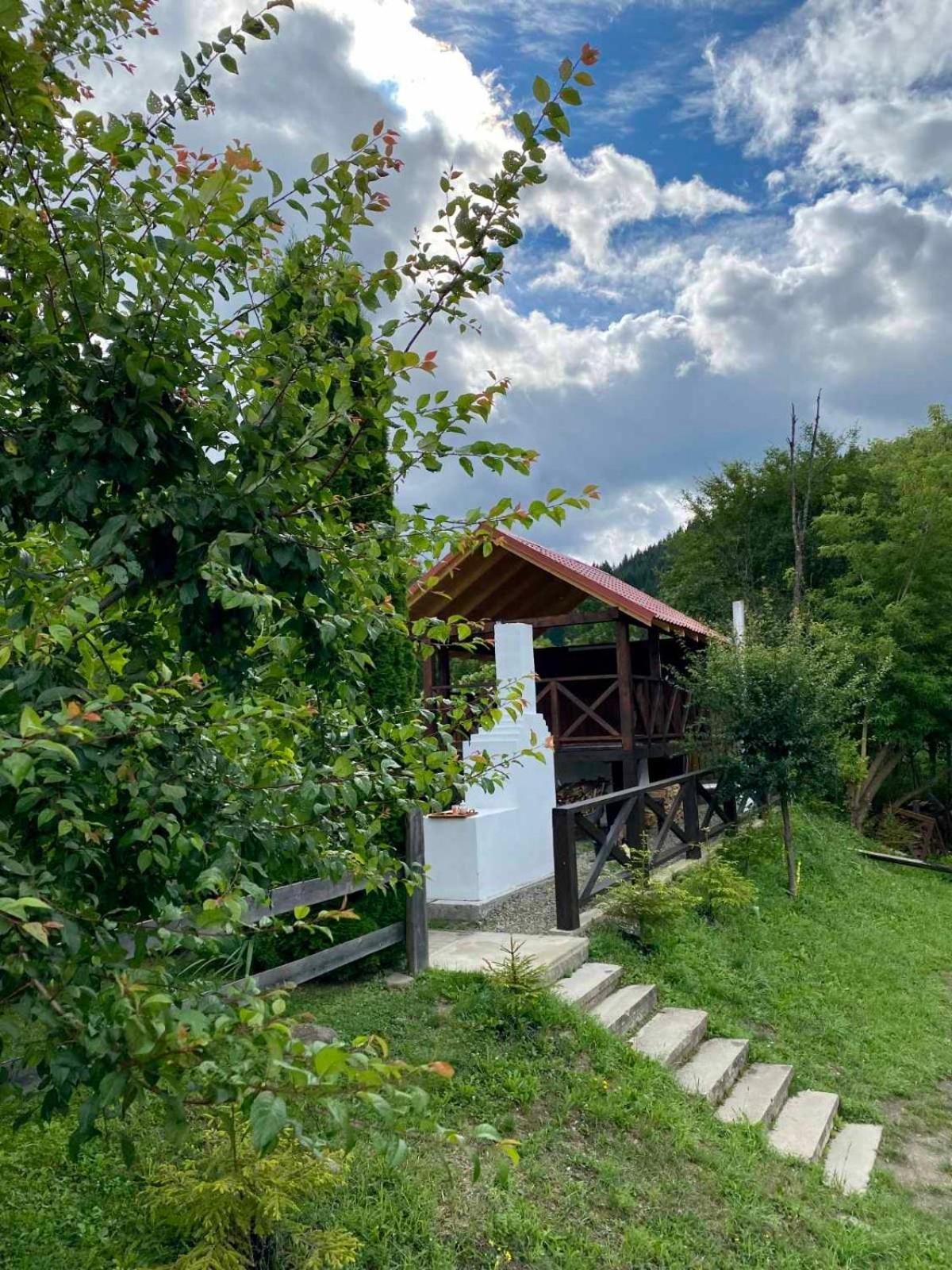 На Березі Черемошу Verkhovyna Exterior foto