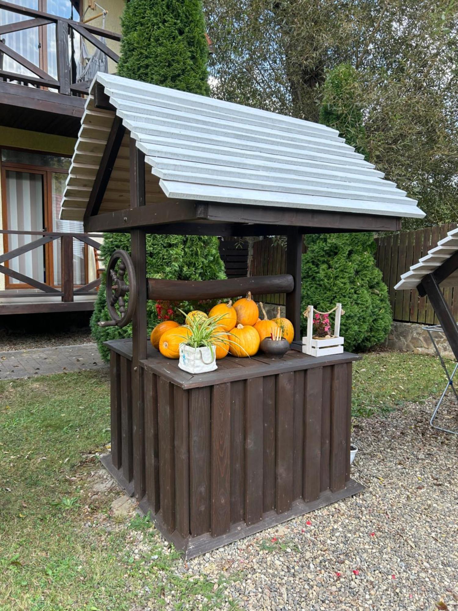 На Березі Черемошу Verkhovyna Exterior foto